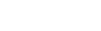 Kanton Bern Logo